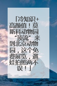 冷知识+高颜值！莫斯科动物园“顶流”来到北京动物园，这个免费展览，遛娃拍照两不误！